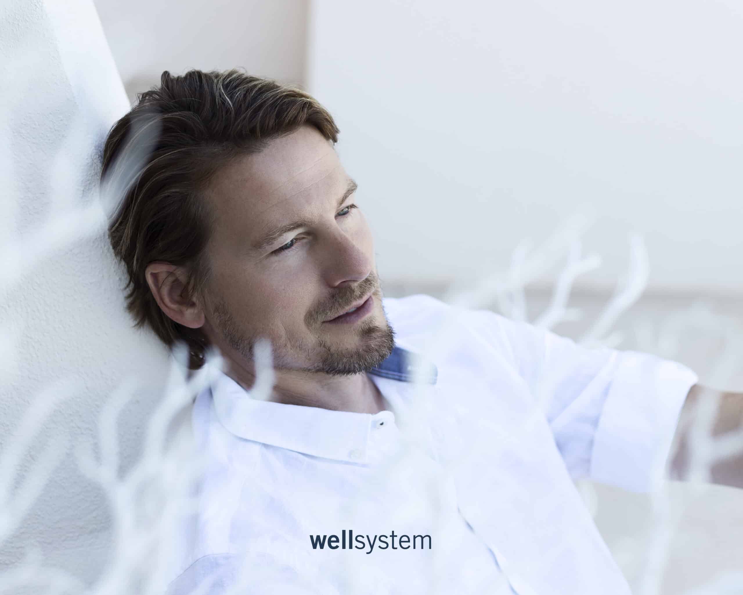 wellsystem